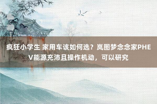 疯狂小学生 家用车该如何选？岚图梦念念家PHEV能源充沛且操作机动，可以研究