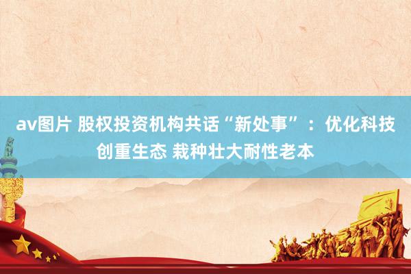 av图片 股权投资机构共话“新处事” ：优化科技创重生态 栽种壮大耐性老本