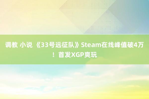 调教 小说 《33号远征队》Steam在线峰值破4万！首发XGP爽玩