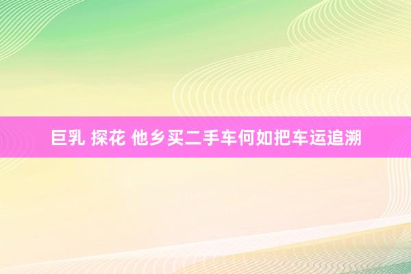 巨乳 探花 他乡买二手车何如把车运追溯