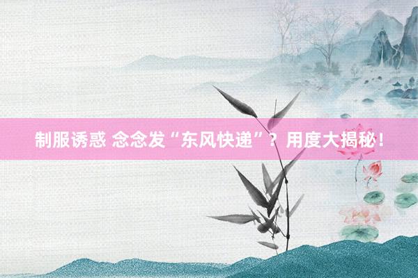 制服诱惑 念念发“东风快递”？用度大揭秘！