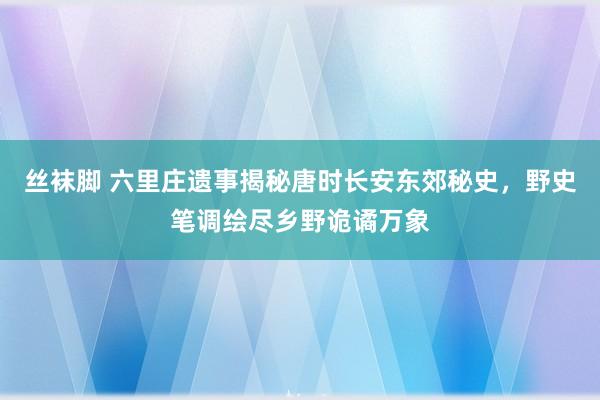 丝袜脚 六里庄遗事揭秘唐时长安东郊秘史，野史笔调绘尽乡野诡谲万象