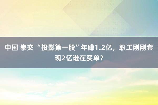 中国 拳交 “投影第一股”年赚1.2亿，职工刚刚套现2亿谁在买单？